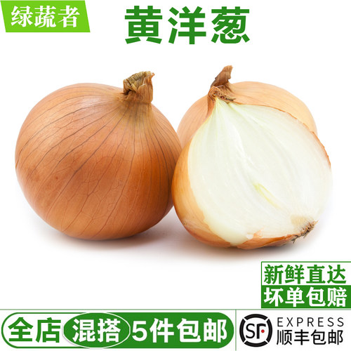黄洋葱500g 黄皮大洋葱黄葱头圆葱农家自种新鲜蔬菜香料食材