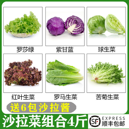 新鲜生菜组合4斤 混合沙拉菜生吃轻食套餐沙拉食材组合健身蔬菜包
