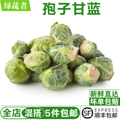 新鲜孢子甘蓝500g 西餐沙拉食材抱子甘蓝新鲜蔬菜 小甘兰小包菜