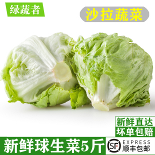 球生菜5斤 汉堡用西生菜圆生菜新鲜蔬菜西餐轻食沙拉色拉食材配菜