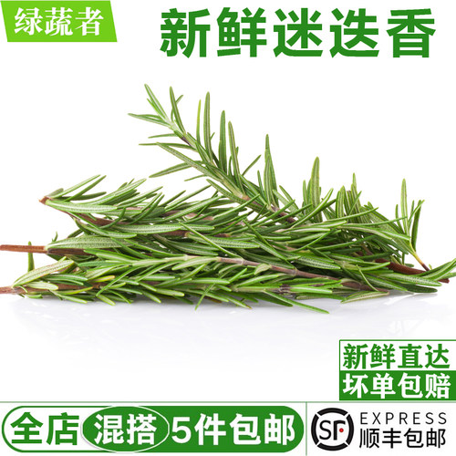 迷迭香250g 新鲜迷迪香煎牛排烧烤食用调味料西餐香料配料