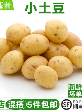 迷你小土豆500g 农家黄心土豆 马铃薯新鲜蔬菜 满5件包邮