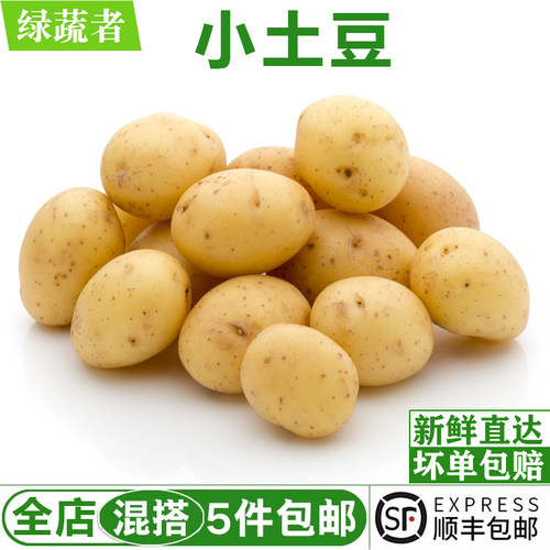 迷你小土豆500g 农家黄心土豆 马铃薯新鲜蔬菜 满5件包邮