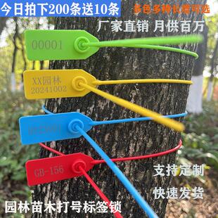塑料标签园林苗木封签锁扣号苗吊牌物流防盗铅封海钓围树扎带标识