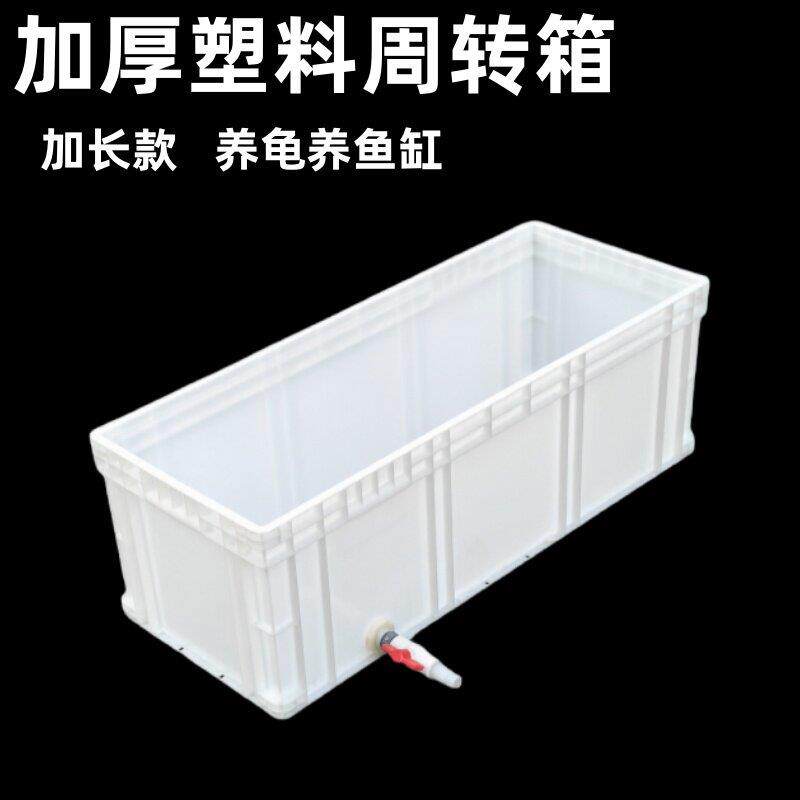 窄长型塑料乌龟箱加长加高生态带排水家用养鱼饲养水槽过滤周转箱