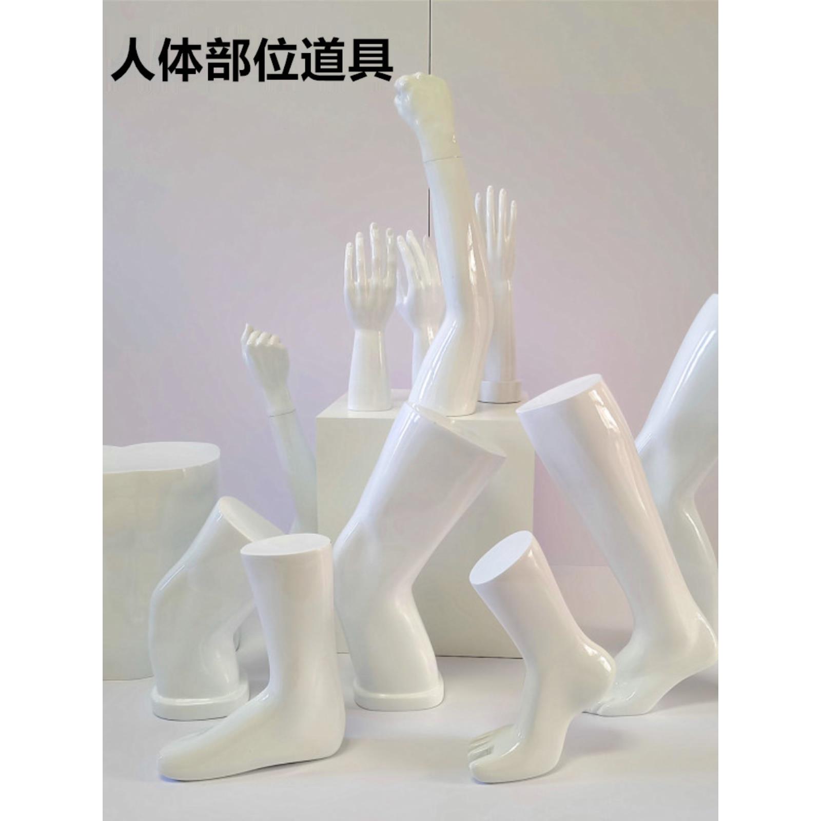 半身腿模护膝展示医疗器械展示道具橱窗展示脚模手摸人体部位展示
