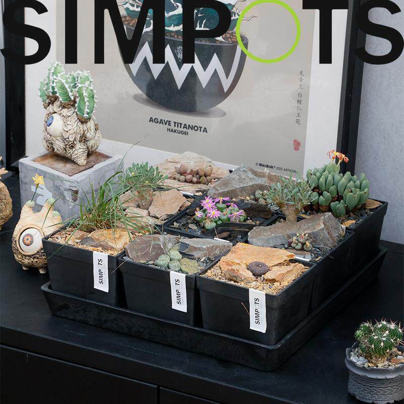 SIMPOTS森宝|环保树脂方形花盆简约纹理绿植桌面迷你客厅阳台抗晒