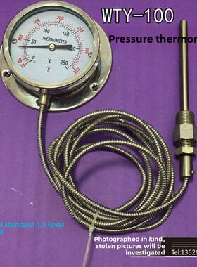 富阳仪表不锈钢耐腐蚀压力温度计远程烤箱烤鱼炉管Wtq等级1.5