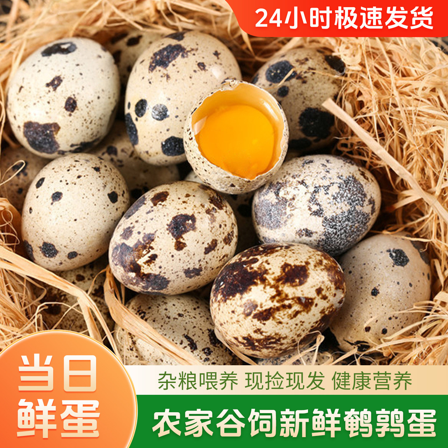 农家散养鹌鹑蛋50枚当日现捡现发新鲜鹌鹑蛋孕妇宝宝辅食生鹌鹑蛋,水产肉类/新鲜蔬果/熟食,鹌鹑蛋,淘宝优惠券,粉丝福利购,淘宝优惠卷