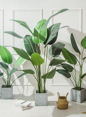 彷真绿色植物北欧装饰高端轻奢客厅落地彷生盆栽室内散尾葵假植物
