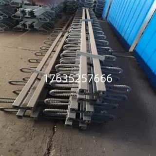 公路桥梁伸缩缝GQF-DC40F60EZ80RG160异型钢梳齿板毛勒缝橡胶支座