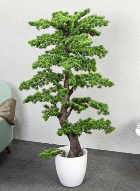 彷真绿色植物迎客松罗汉松大型假树盆栽装饰室内客厅落地崖柏盆景