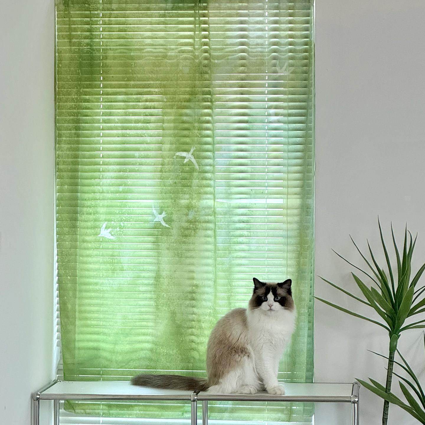 夏天ins风透光窗帘雪纺纱绿的纱帘飘窗帘布门帘飘逸窗幔阳台纱帘