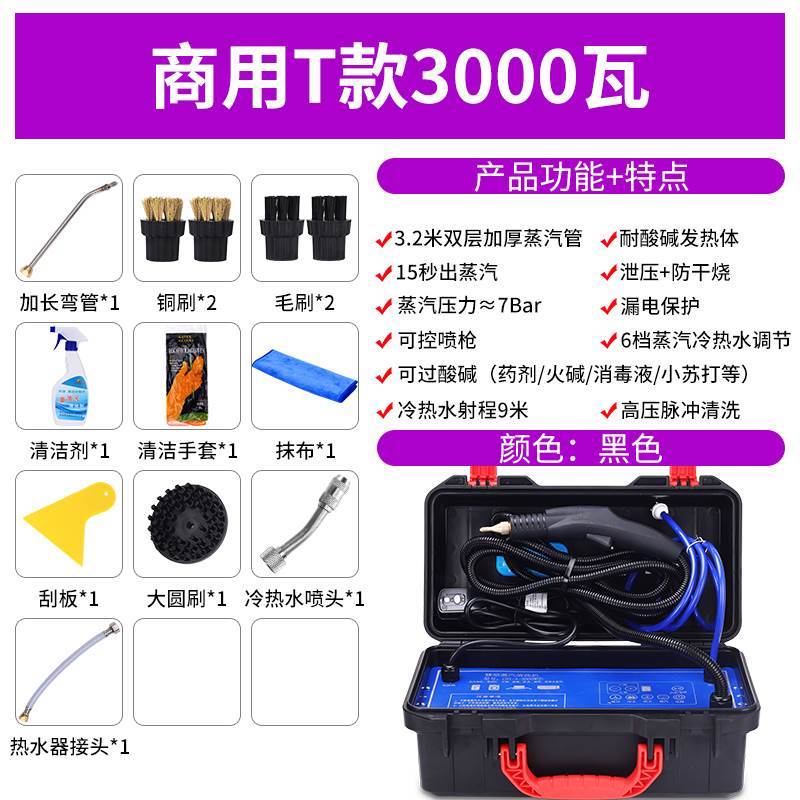 现货速发新品销蒸气清洗机地暖脉冲洗小型管道蒸汽洗车机清洁设备