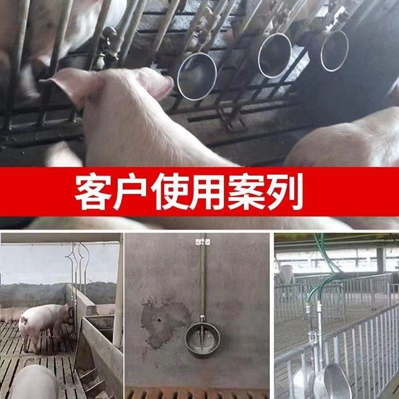 定制猪用304不锈钢饮水碗自动加厚圆形畜牧养殖全自动饮水器