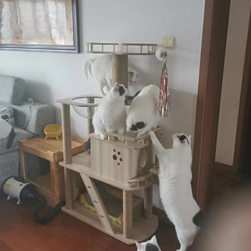 猫抓板磨爪器猫爪板猫爬架猫抓垫猫咪玩具磨抓板猫窝玩具猫咪用品