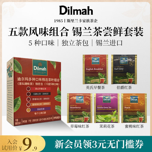 迪尔玛进口多种口味茶叶10袋装