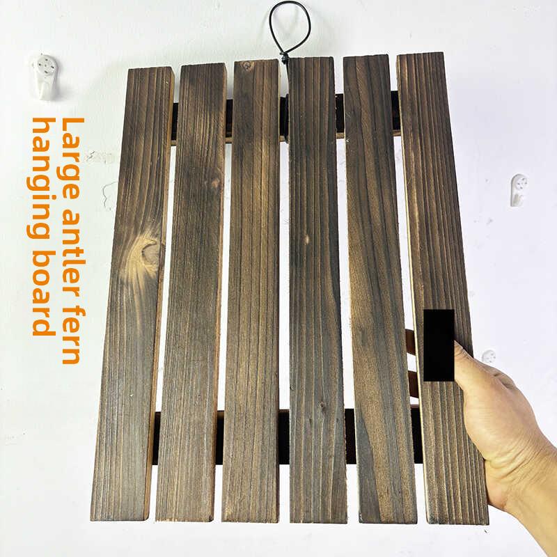 大型象耳亚猴女王何其美鹿角蕨实木碳化种植板大号挂板上木板配件