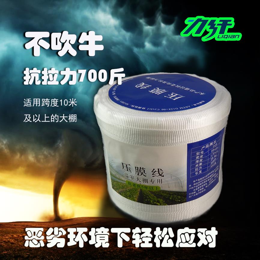 压膜线 D20力纤高强度压膜线 大棚配件 温室大棚 压膜带 养殖大棚