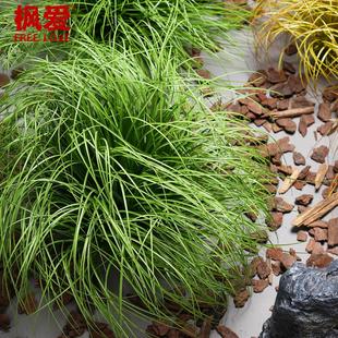 假草彷真蒲草摆件草团草堆造景狗尾草绿植装饰芦苇草地面草垛景观