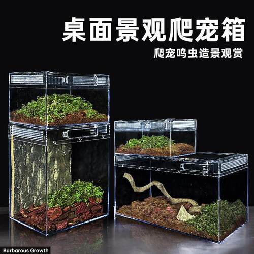亚克力爬宠饲养箱生态雨林造景蜥蜴守宫宠物蛇蜘蛛爬虫乌龟水陆缸