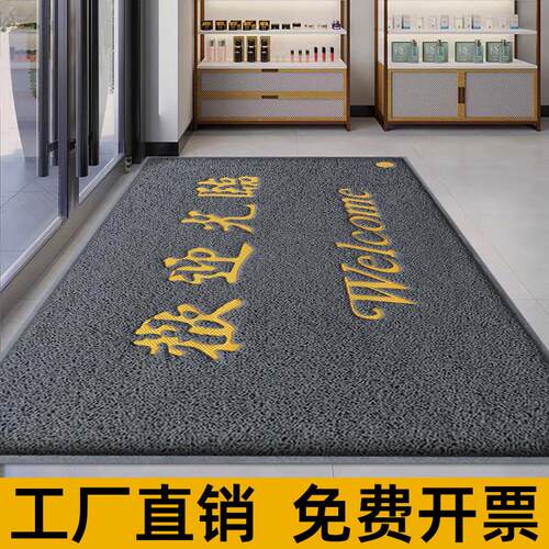 丝圈入户地垫进门地垫门垫塑料地毯入户门欢迎光临出入平安大门口