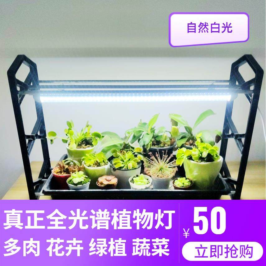 多肉补光灯植物灯上色全光谱LED生长灯家用室内花卉保温室花暖房,家装灯饰光源,植物生长灯,淘宝优惠券,粉丝福利购,淘宝优惠卷