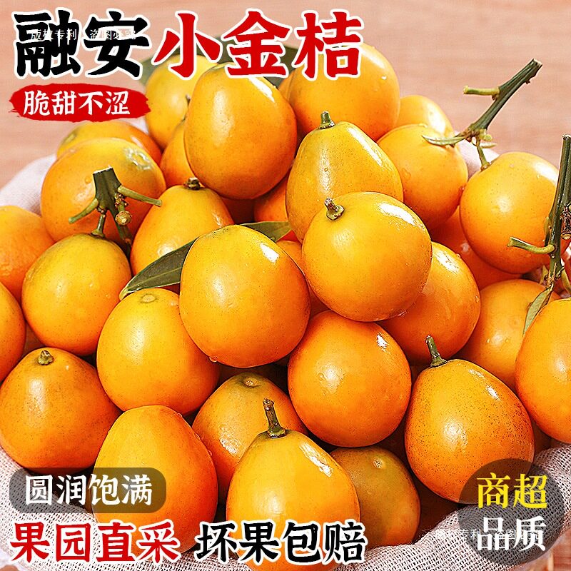 广西脆皮金桔新鲜水果桔子当季