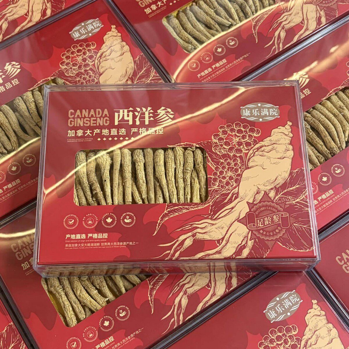 礼盒 加拿大软枝整根西洋参礼盒软枝花旗参产地送礼送