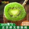 【7号果猿】正宗贵州修文猕猴桃礼盒12枚中果