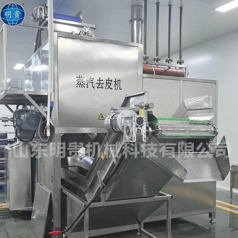 红枣去核去皮设备 自动化黄桃蒸汽去皮机 大型果蔬去皮机器,清洗/食品/商业设备,肉制品加工设备,淘宝优惠券,粉丝福利购,淘宝优惠卷