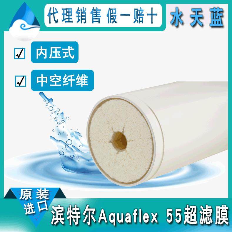 滨特尔/诺芮特Aquaflex 55超滤膜组件 8英寸55㎡中空纤维超滤膜,标准件/零部件/工业耗材,滤膜,淘宝优惠券,粉丝福利购,淘宝优惠卷