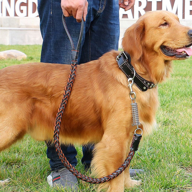 狗狗牵引绳遛狗狗绳小型犬