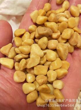 供应黄色石子米黄色水洗石黄色洗米石胶粘石露骨料用黄石子