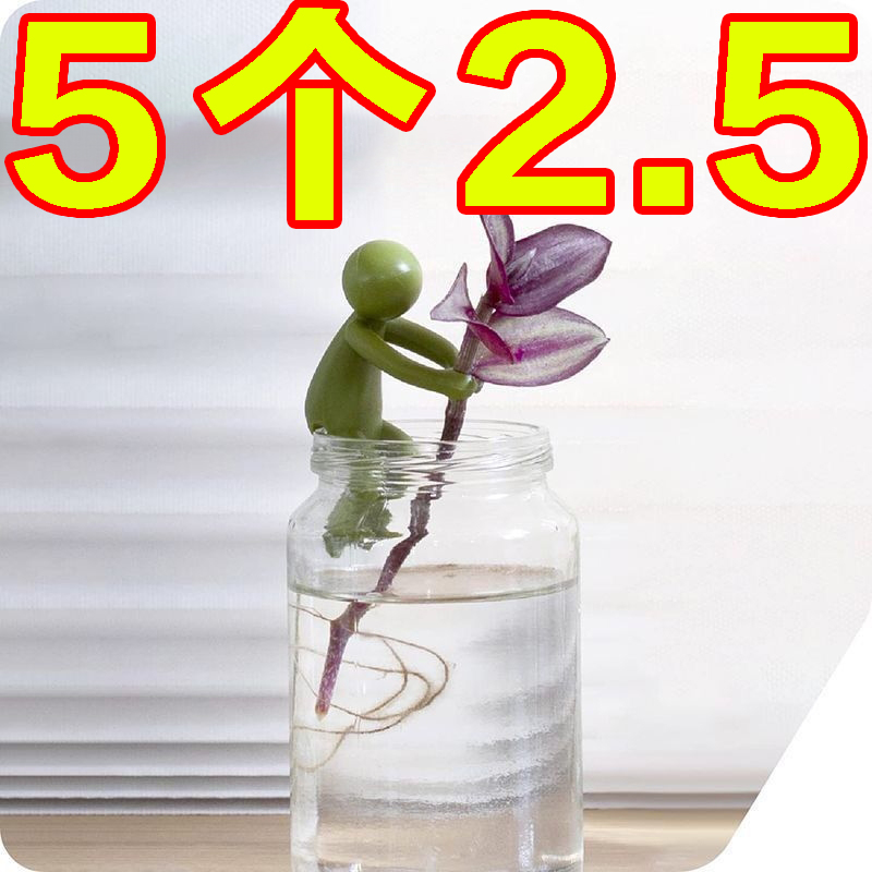 水培植物生长伴侣扶正扶桌面装饰