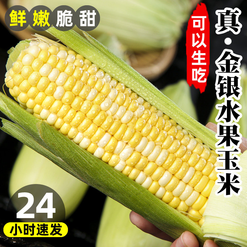 云南新鲜金银水果玉米脆甜可生吃