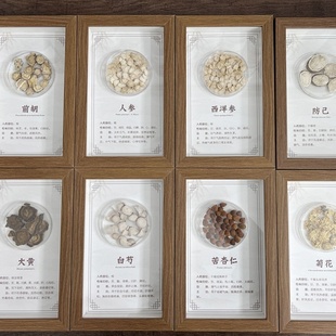 用药摆件中医壁饰挂画十大经典药方相框中医馆文创产品药店装饰画
