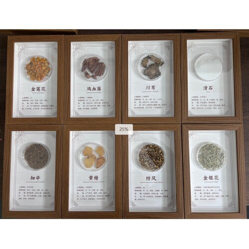 药食同源标本定制中草药标本挂件中药展示盘标本收纳药食同源画