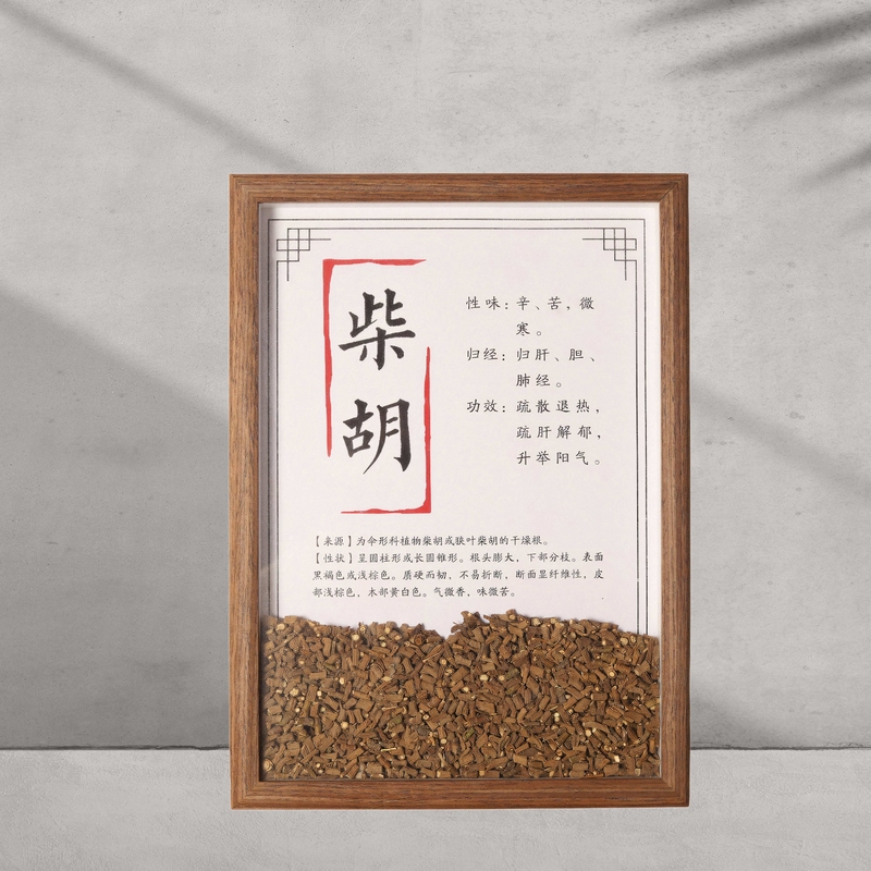 中医文创中药汤方标本中草药材单品展示装饰画摆件背景墙中医宣传