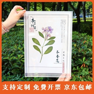 中草药装饰画亚克力盒植物腊叶标本上千种中药材展示科普使用