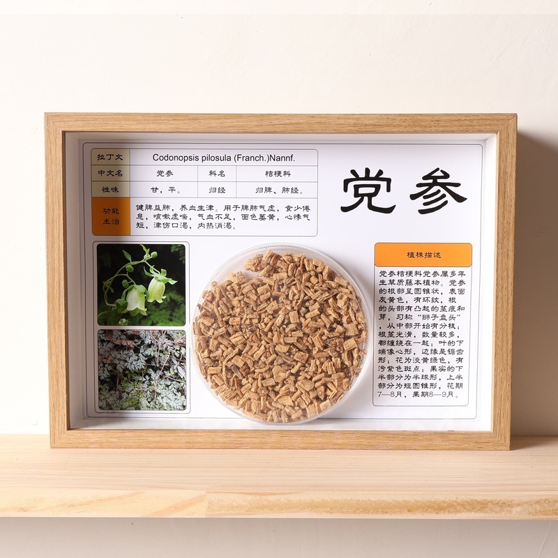 中药材挂图展架文化墙辣椒玄关画文创立体定做幼儿中医生物宣传栏