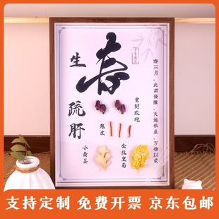春夏秋冬中药相框中药标本diy中草药标本展示画框中药药材标本画