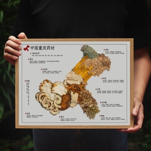 中药标本地图黄连九种体质质画框亚克力药食同源拼图茶饮墙墙