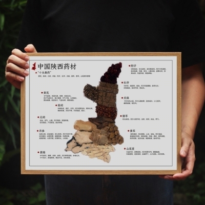 药材地图适合诊所的摆件中学习标本药食同源字画中药植物医画