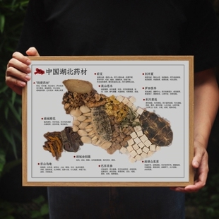 中草药地图中药材展示架制品展品摆 饰 花隔三消图片房特色装