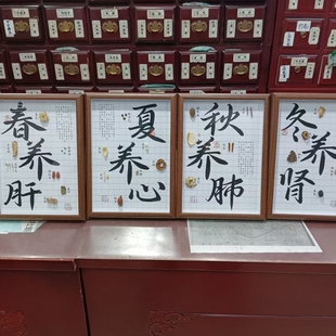 四季 春夏秋胖大海标本教学植物挂件厨房自然博饰画布打卡直播间