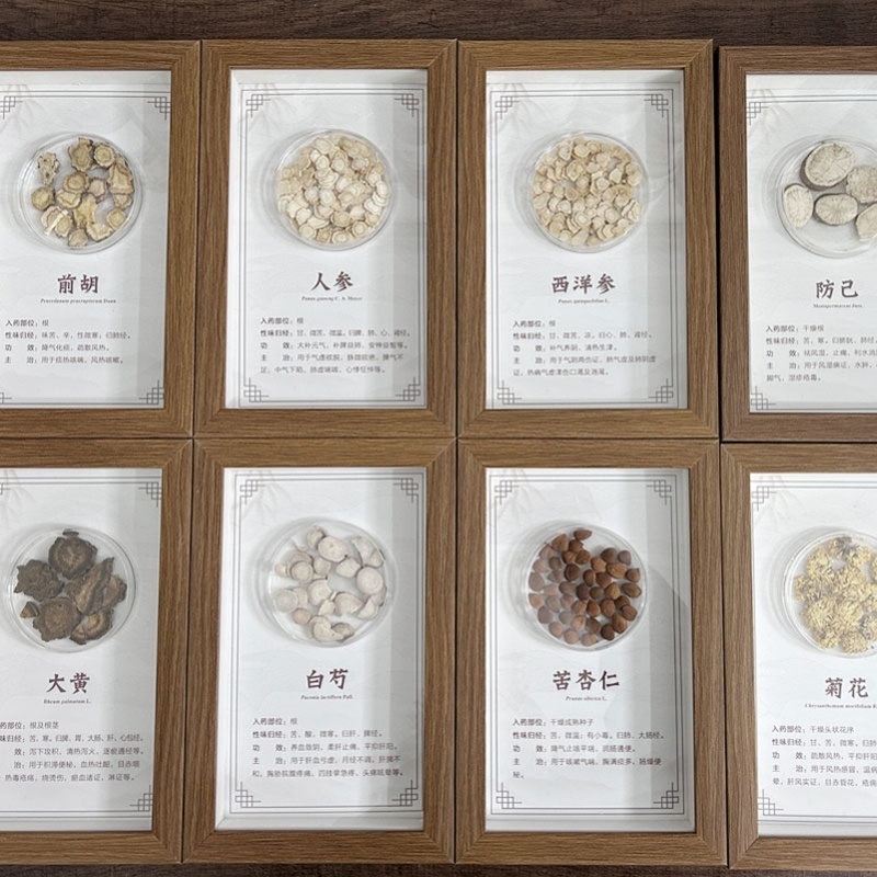 用药摆件中医壁饰挂画十大经典药方相框中医馆文创产品药店装饰画