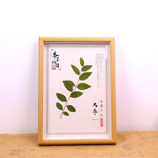 中药植物中医文化展示香料摆样中医文创产品中药展览架植物精油墙