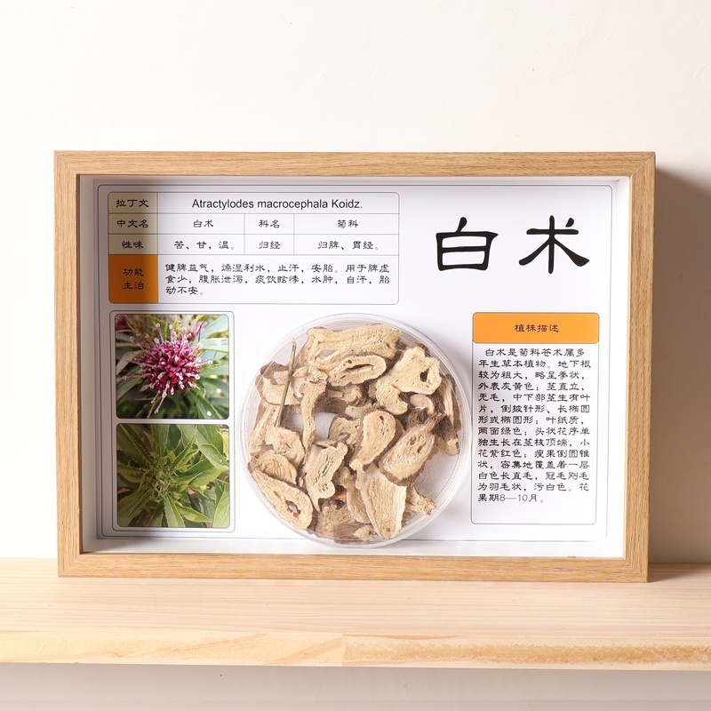 中医标本中药标本展示墙中药材标本装饰画中草药相框中医文化12