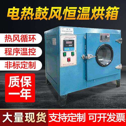 电热鼓风恒温干燥箱热风循环工业烤箱实验室烘干油漆小烘箱电加热